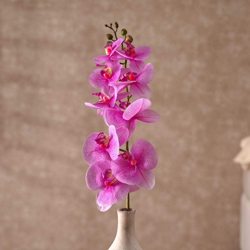 Grevia Orchids Flower Purple 100Cm (Vase Not Included) - Image 3