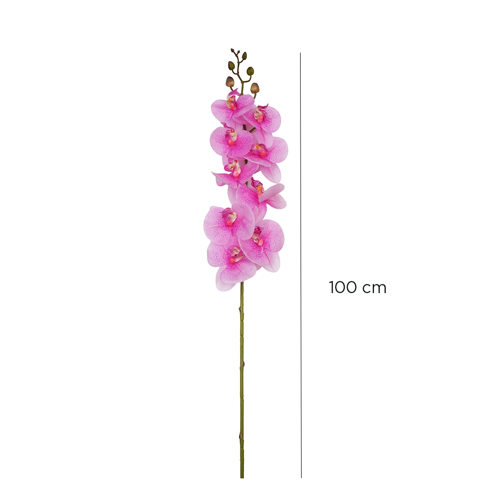 Grevia Orchids Flower Purple 100Cm (Vase Not Included) - Image 2