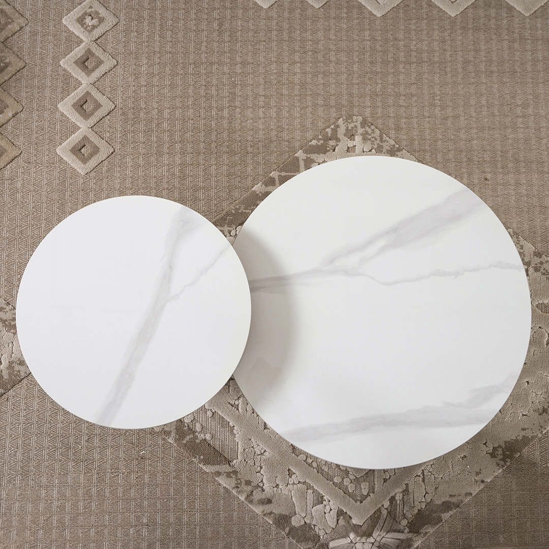 Sanchez 2-piece Coffee Table Set with pet house-White - Image 5