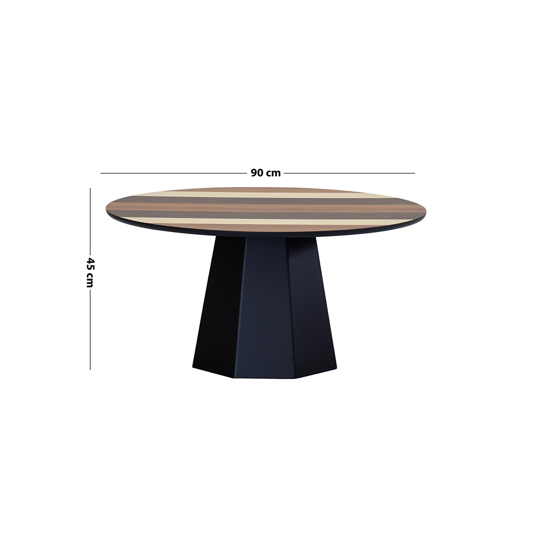 Ameya Center Table - Image 2
