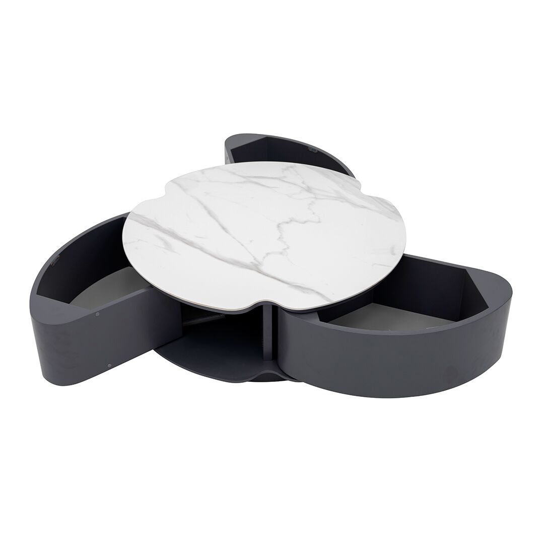 Fern 2 piece Coffee Table Set - Image 4