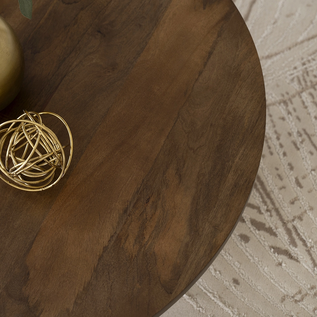 Acia Coffee Table - Image 3