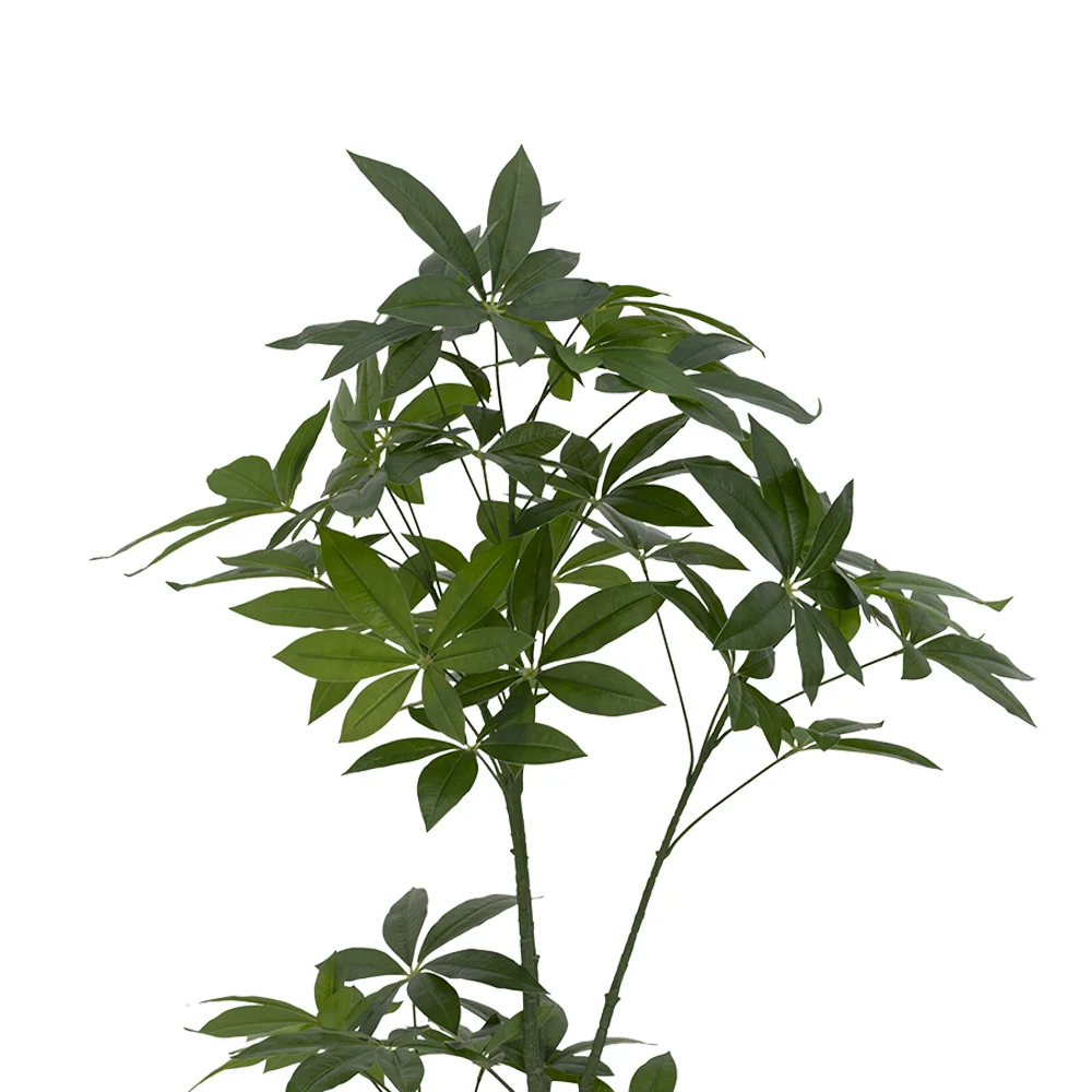 Claire Artificial Schefflera tree 150CM - Image 3
