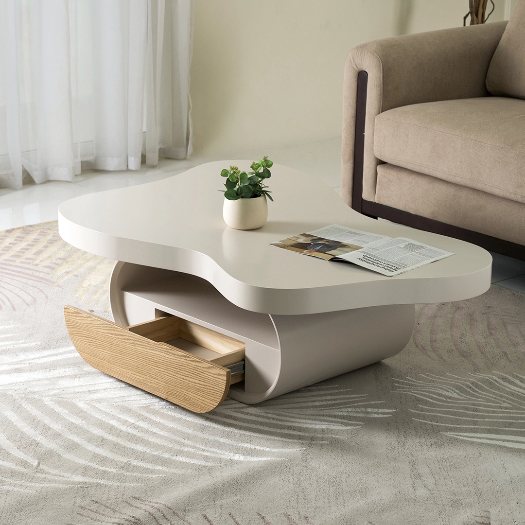 Shinok Coffee Table - Image 4