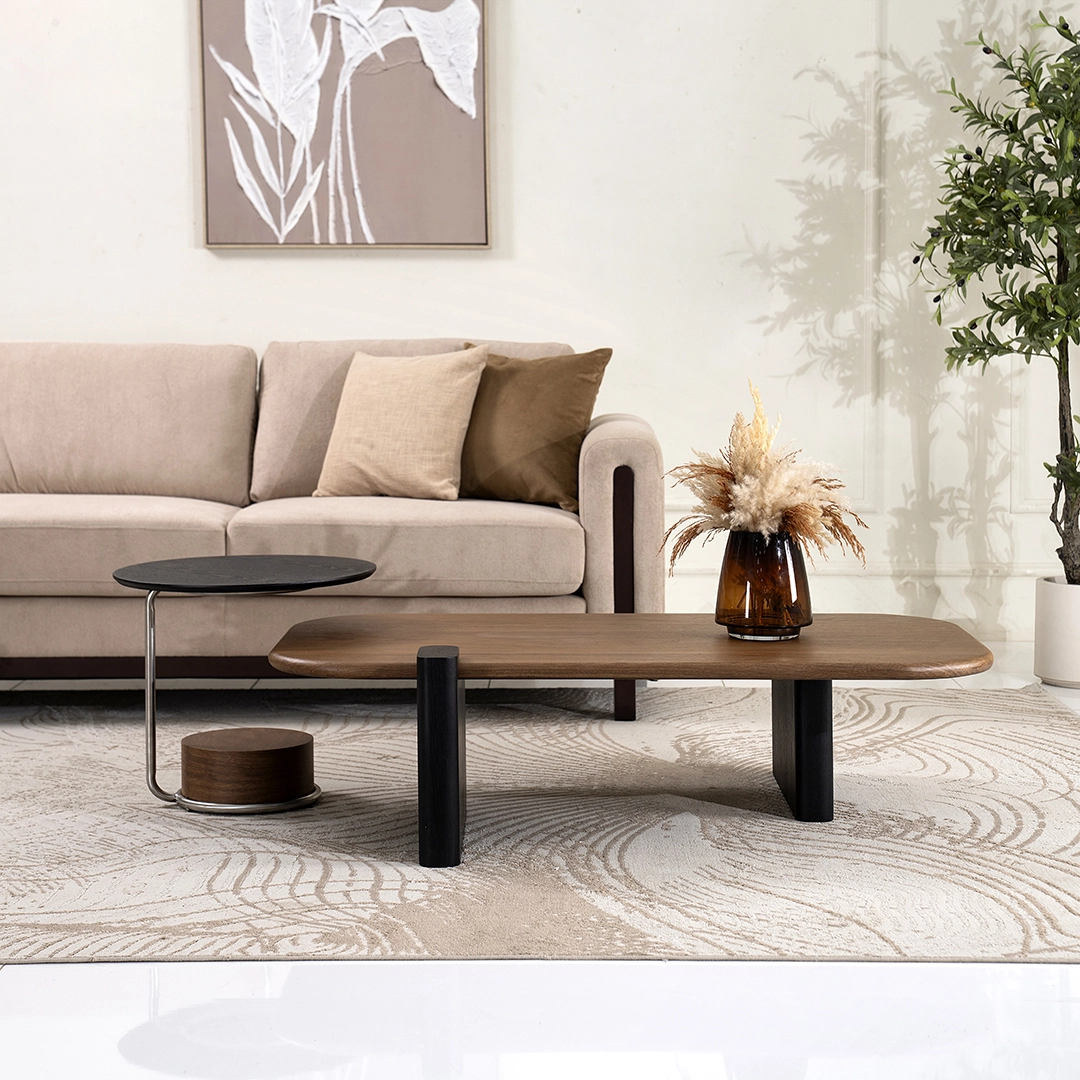 Barcelona 2-piece Coffee Table Set - Image 10