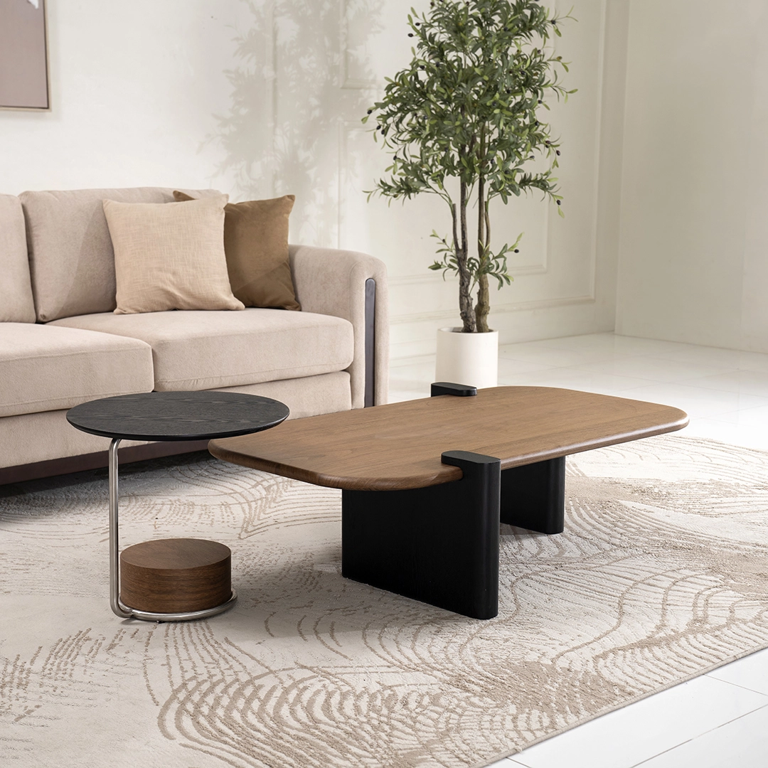 Barcelona 2-piece Coffee Table Set