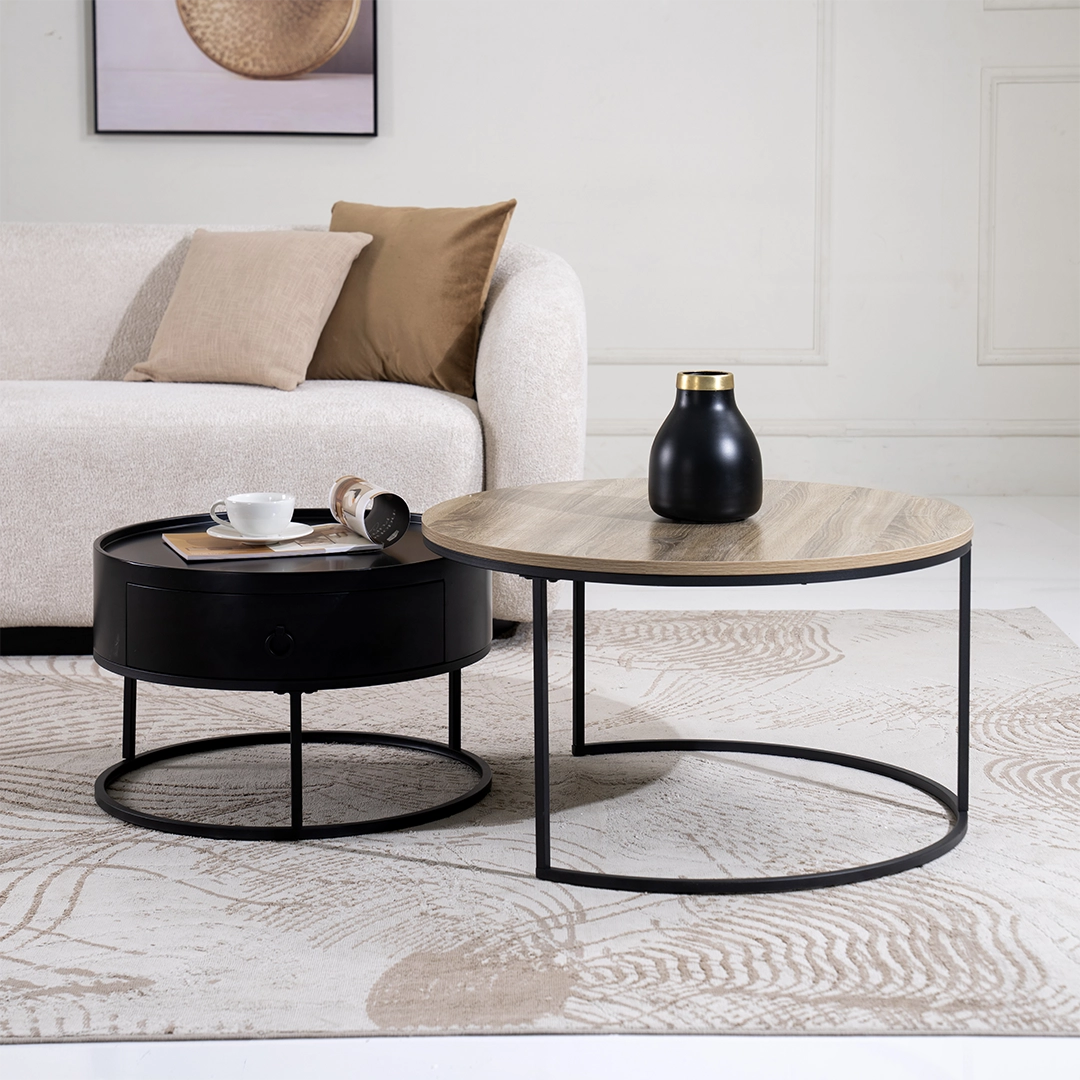 Elva 2 piece Coffee Table Set - Image 5