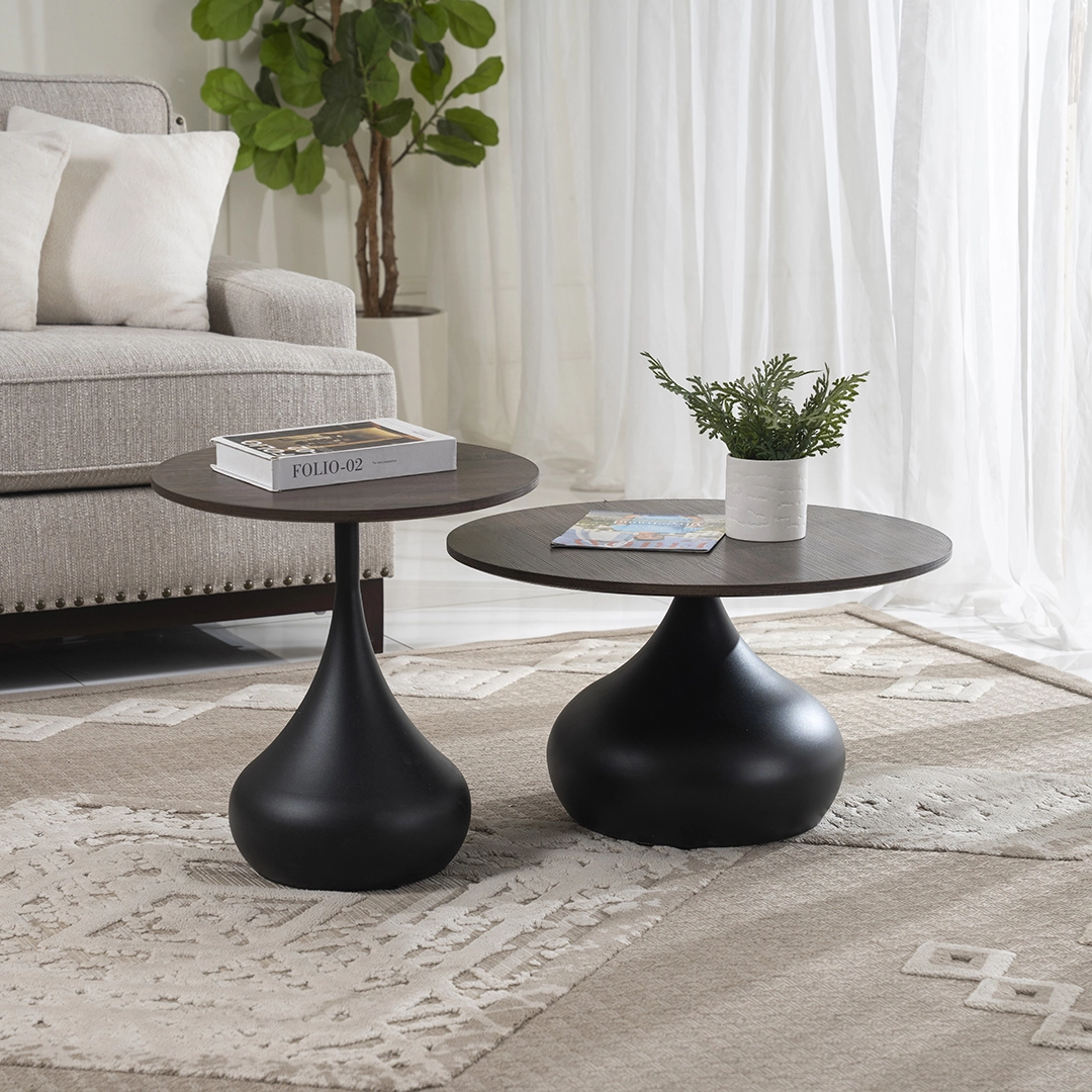 Lupin 2-piece Coffee Table Set - Image 9