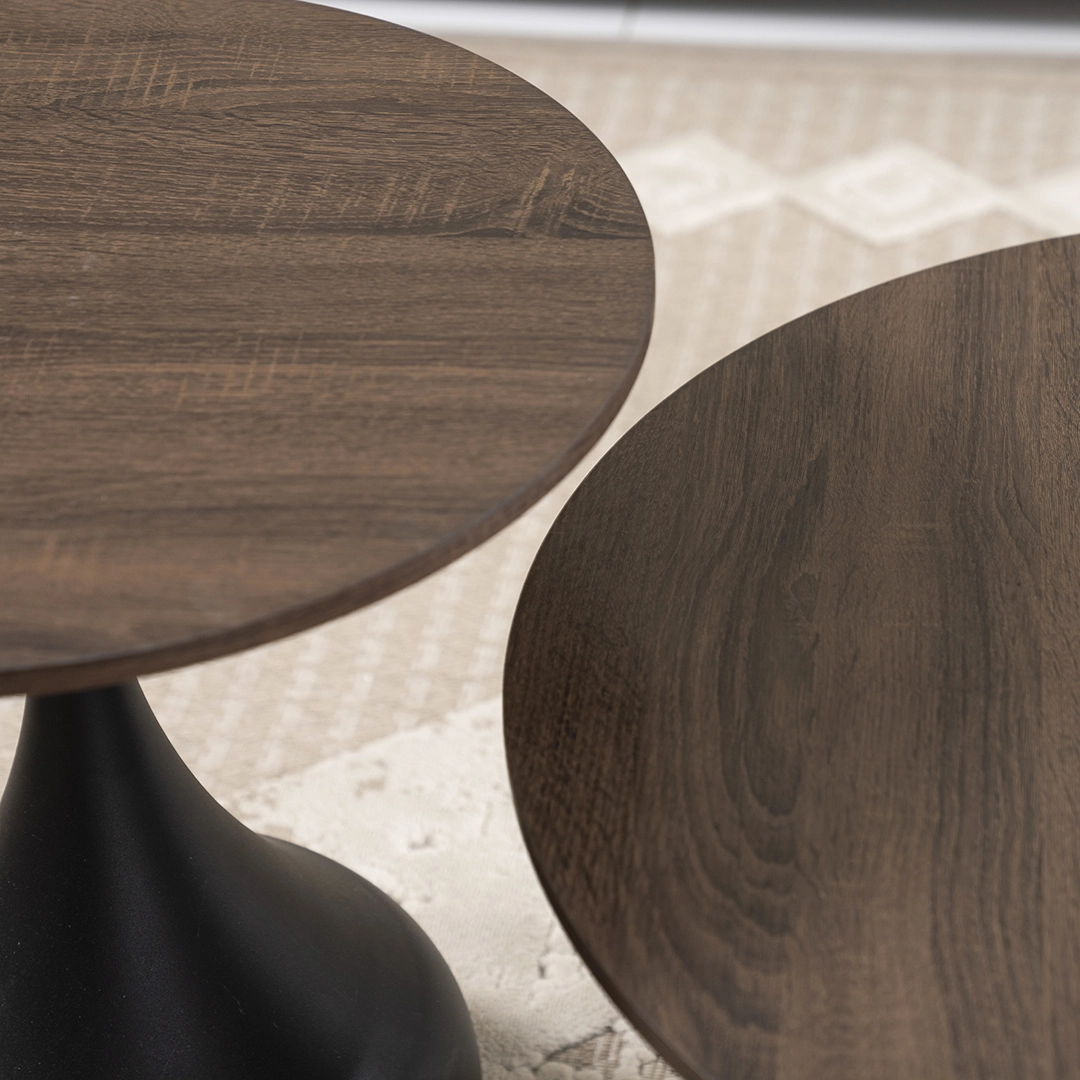 Lupin 2-piece Coffee Table Set - Image 5