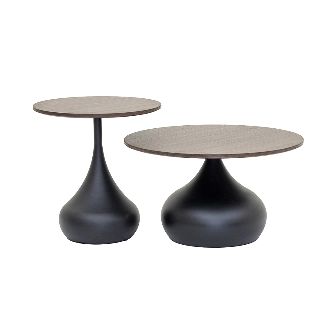 Lupin 2-piece Coffee Table Set - Image 4