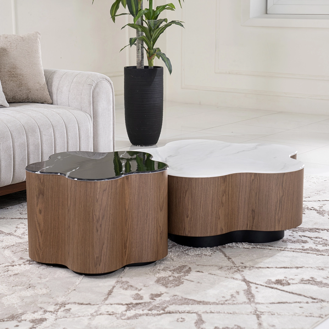 Rimo 2-piece Coffee Table Set - Image 4