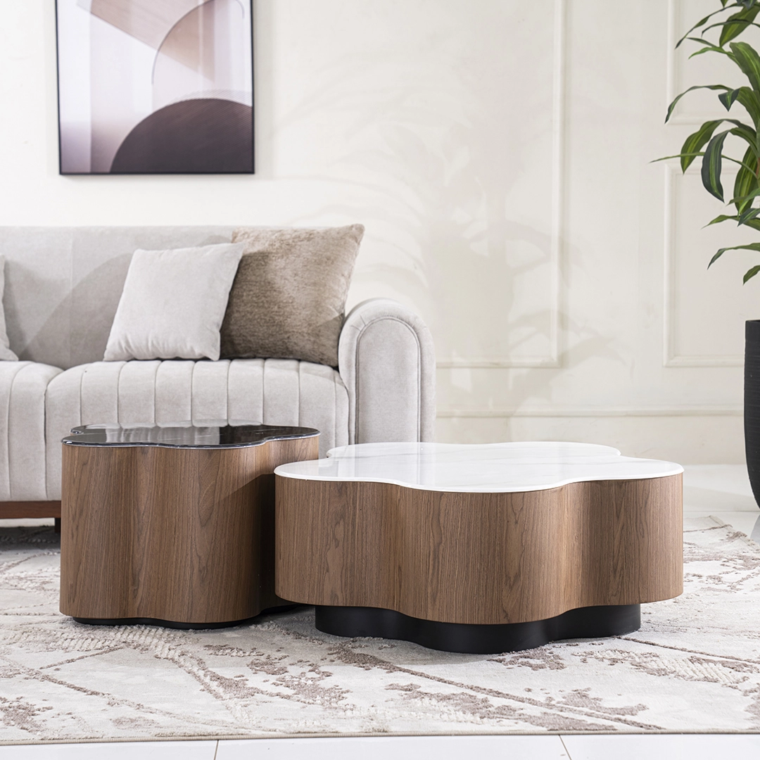 Rimo 2-piece Coffee Table Set - Image 5
