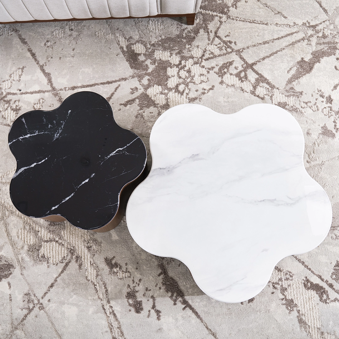 Rimo 2-piece Coffee Table Set - Image 6