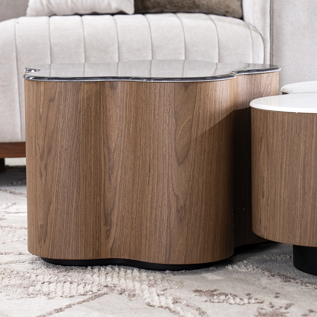 Rimo 2-piece Coffee Table Set - Image 7