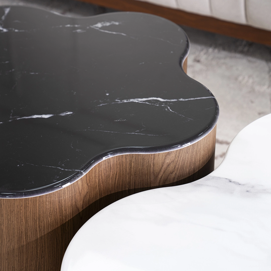 Rimo 2-piece Coffee Table Set - Image 8