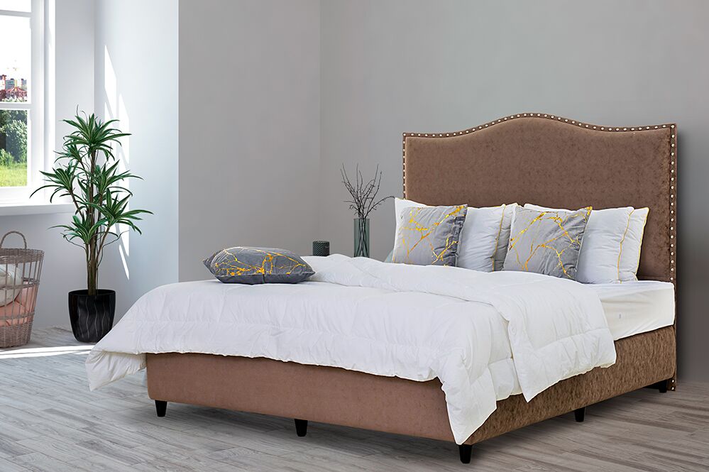 Dream Shadow Bed