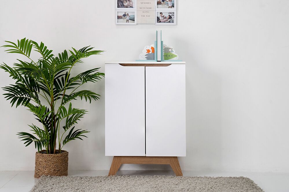 Simona Shoe Cabinet