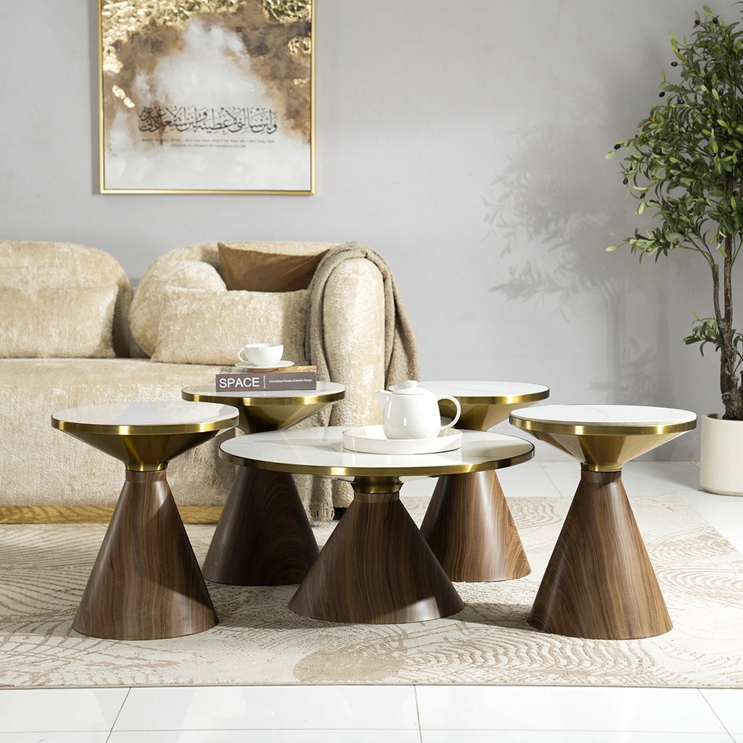 Anna 1+4 Coffee Table Set - Image 4