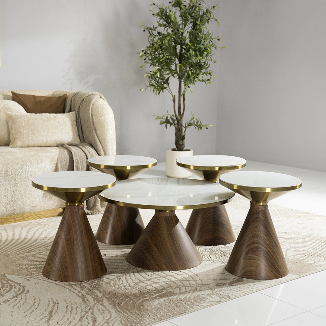 Anna 1+4 Coffee Table Set