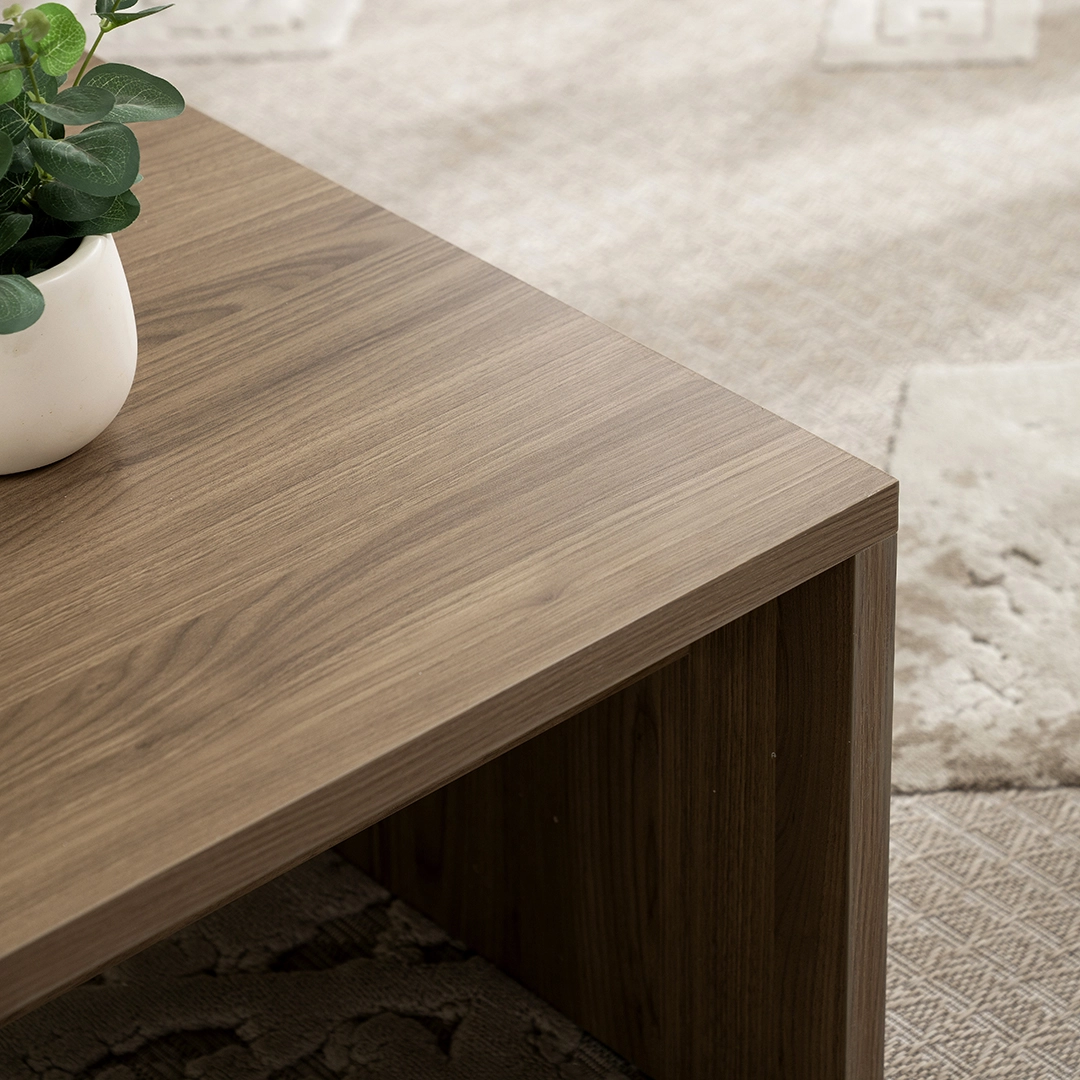 Tonks Coffee Table - Image 3
