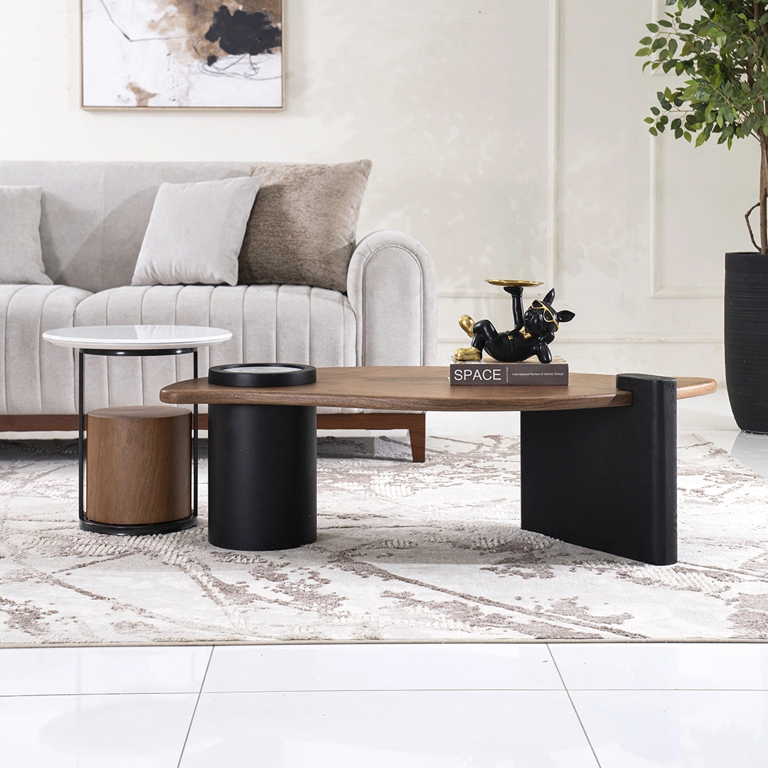 Flora 2-piece Coffee Table Set - Image 5